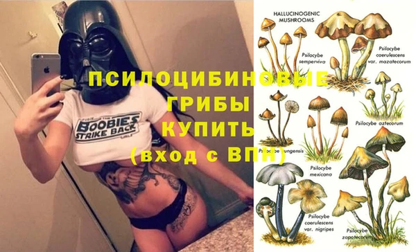 мескалин Алексин
