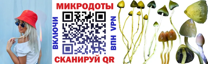 Галлюциногенные грибы MAGIC MUSHROOMS  Отрадная 